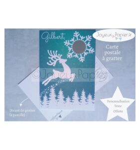 Carte à gratter texte personnalisé joyeuses fêtes joyeux noël serre noel