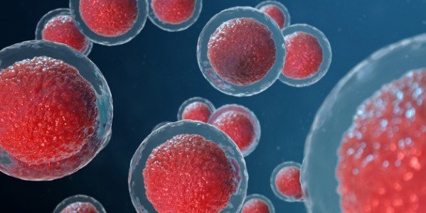 Faire un don d’ovocytes pour une femme infertile